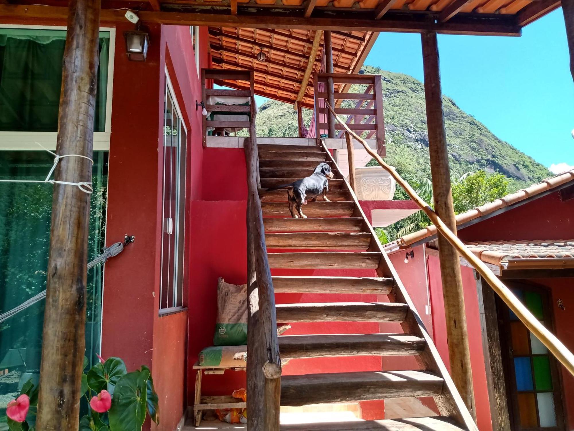 Kitnet Na Serra De Sao Pedro Нова-Фрибурго Стая снимка